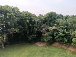 Lakeview Estate (D20), Apartment #593288991